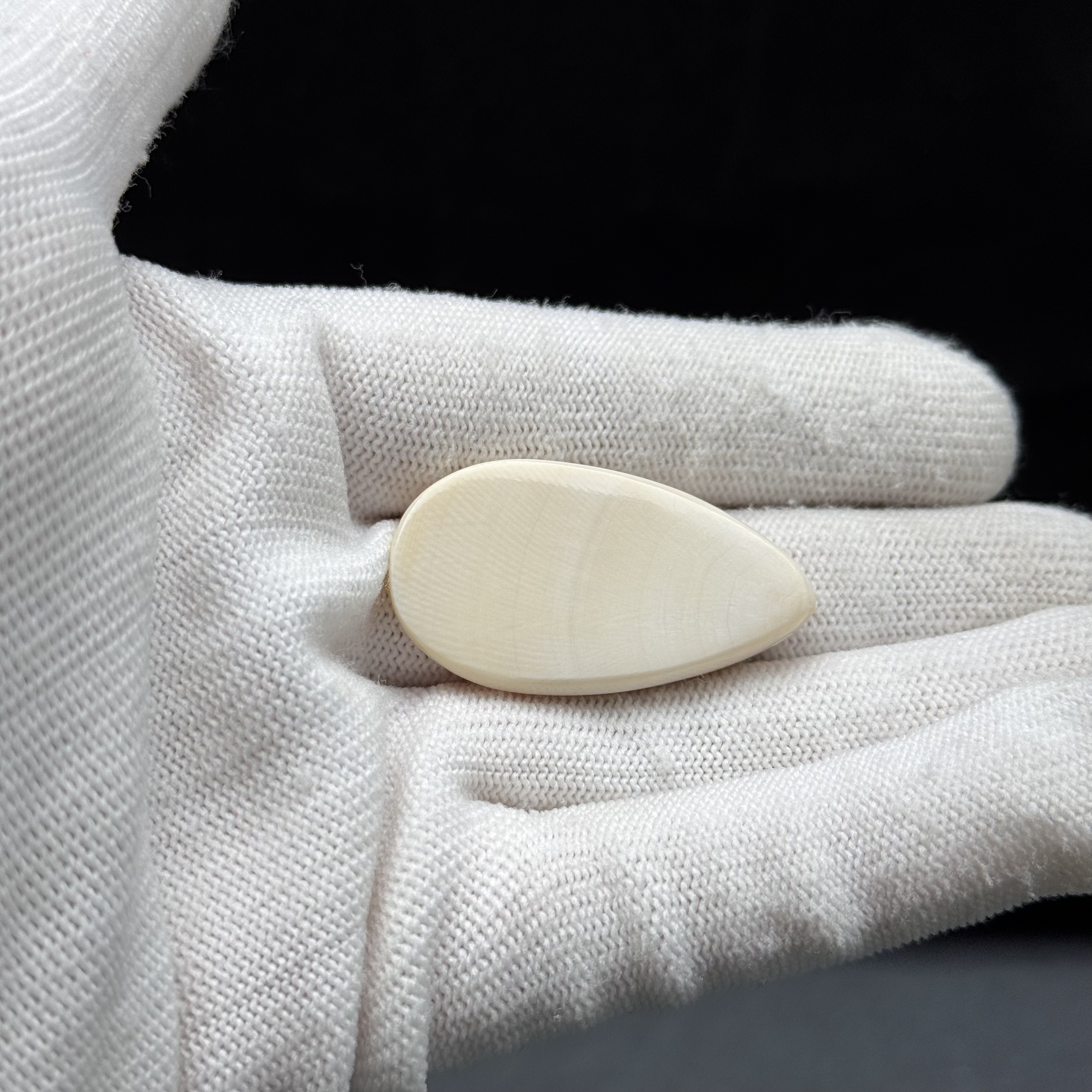 D3883天然猛犸牙 牙尖 40mm支持鉴定 假一罚四