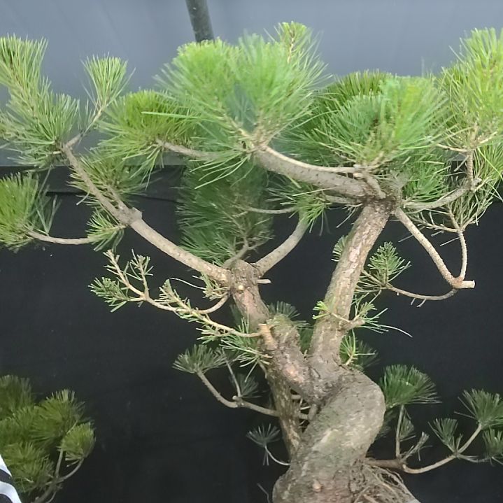 。。。。。。。。。。。。。。。。。。。。