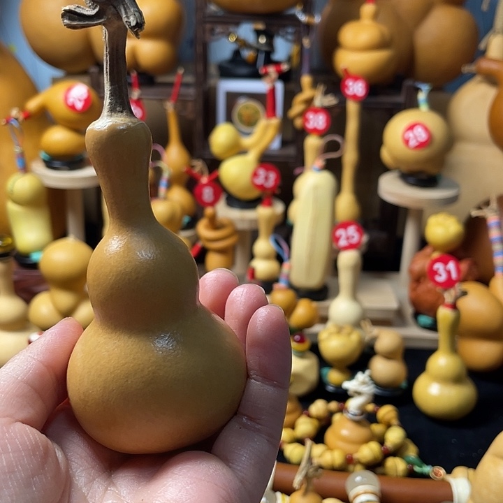 往***忆葫芦丝老师在讲台前讲故事