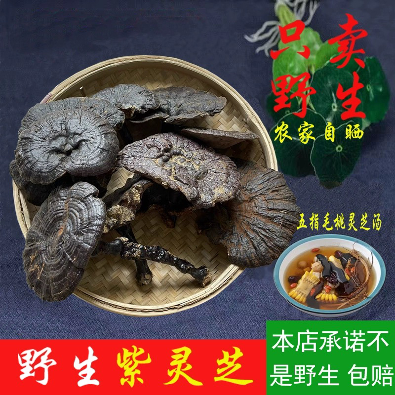 深山野生紫灵芝正品整枝林芝不苦黑芝片煮水泡酒非灵芝孢子粉