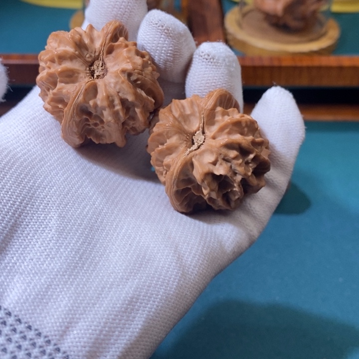 文玩核桃吊坠大龙