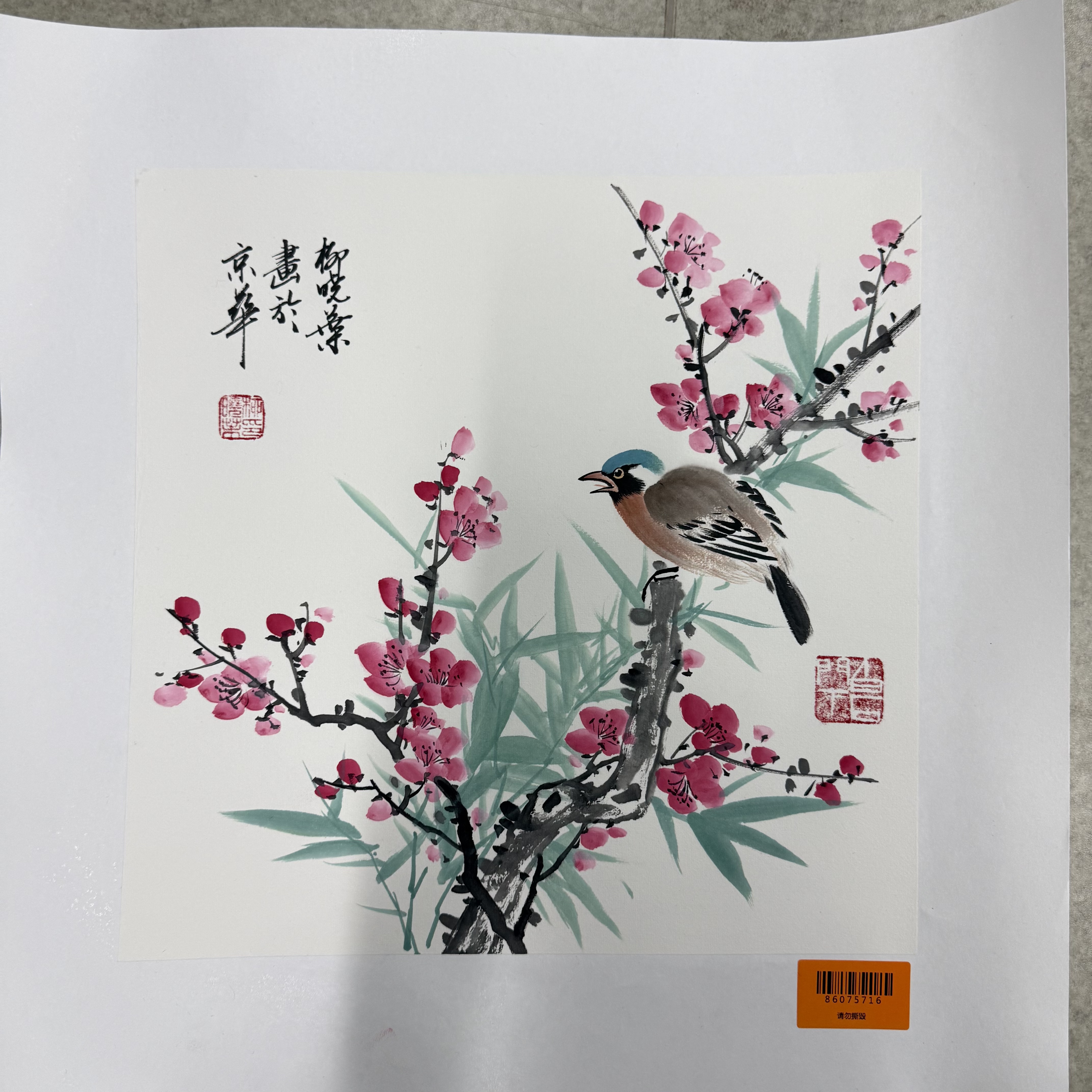 柳晓叶绘画1pc花鸟