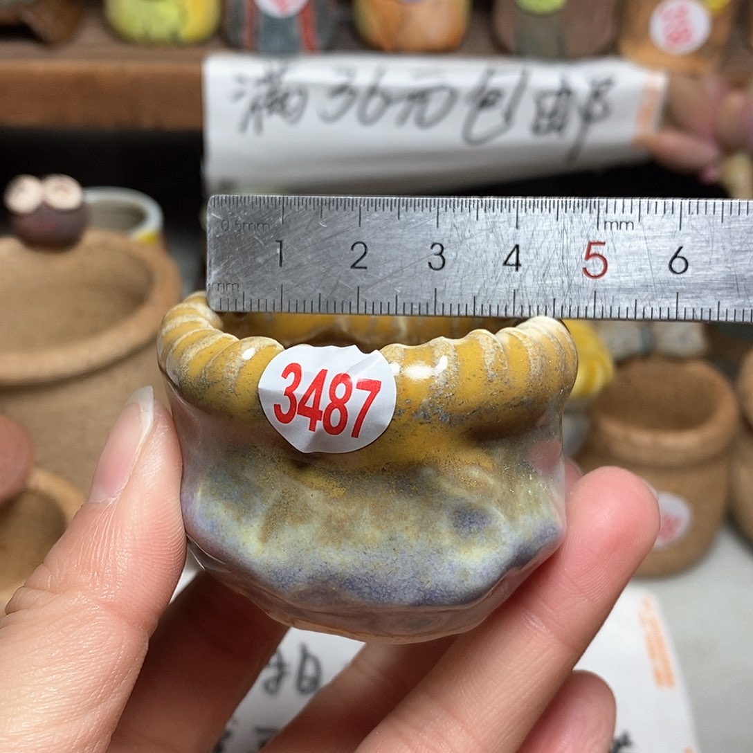 红陶拍5送一个小
