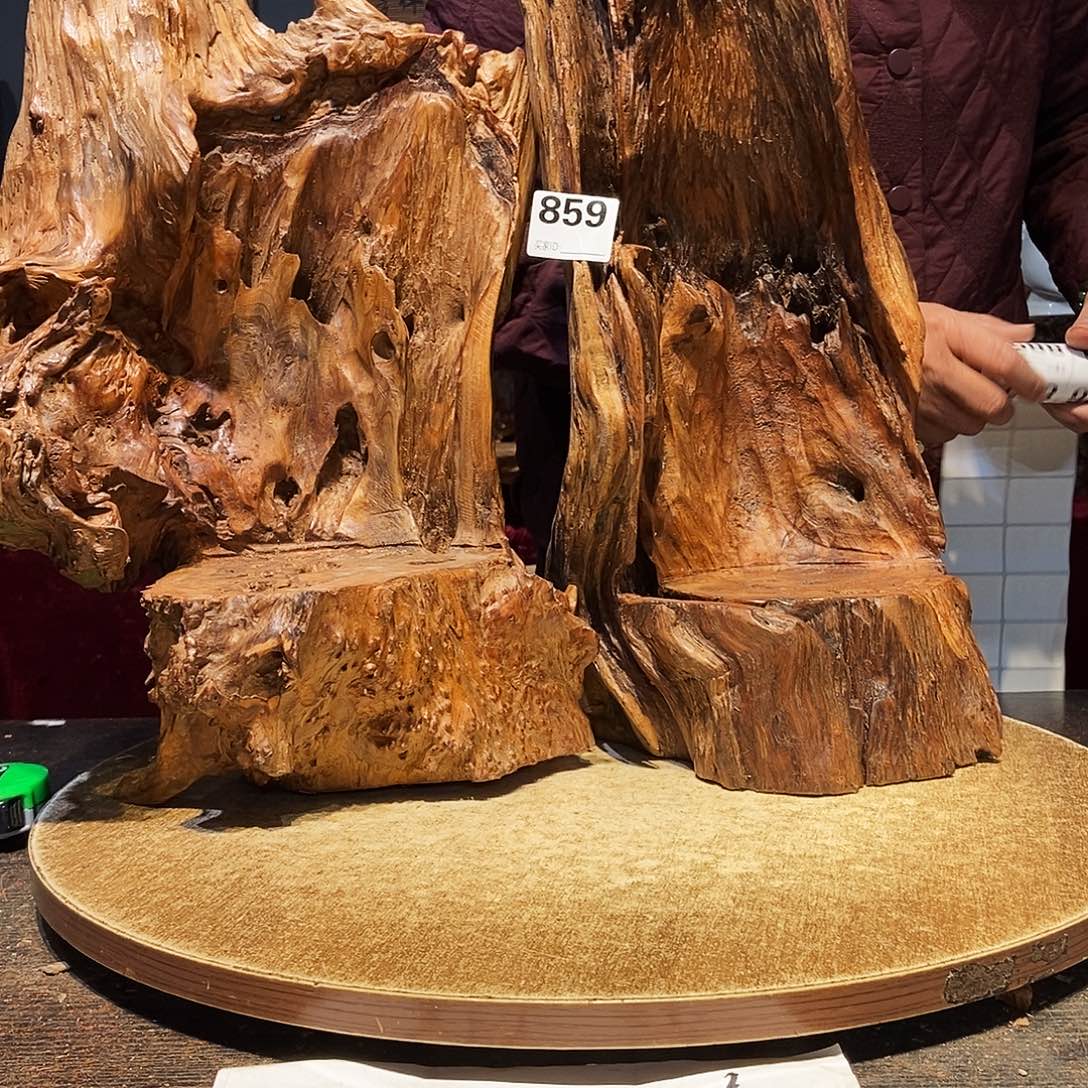 H***聂859。株木随行根艺