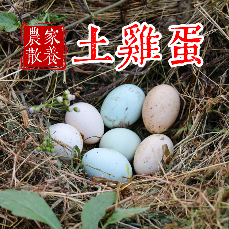 村姑阿香散养土鸡蛋本地鸡蛋
