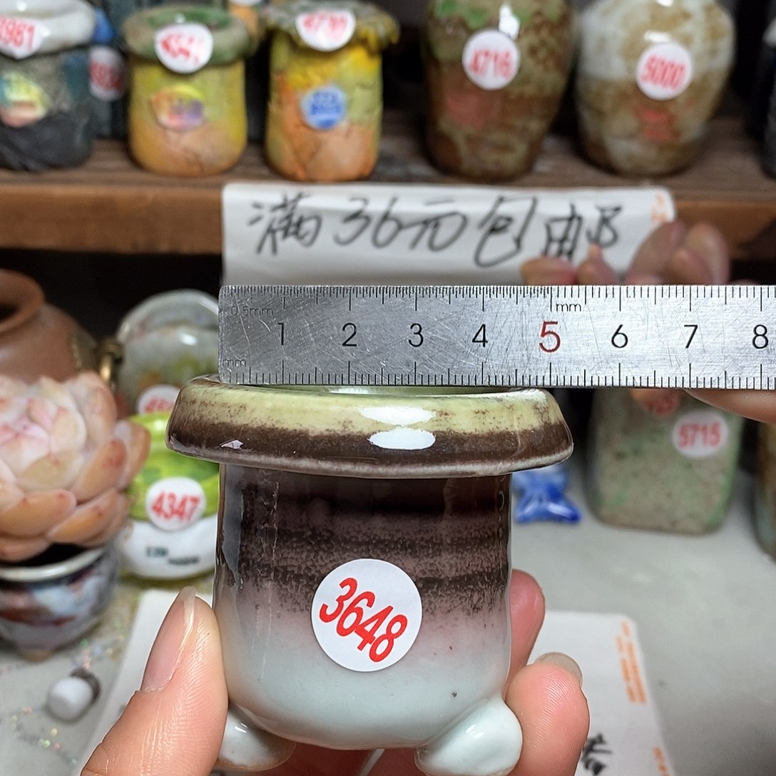 红陶拍5送一个小