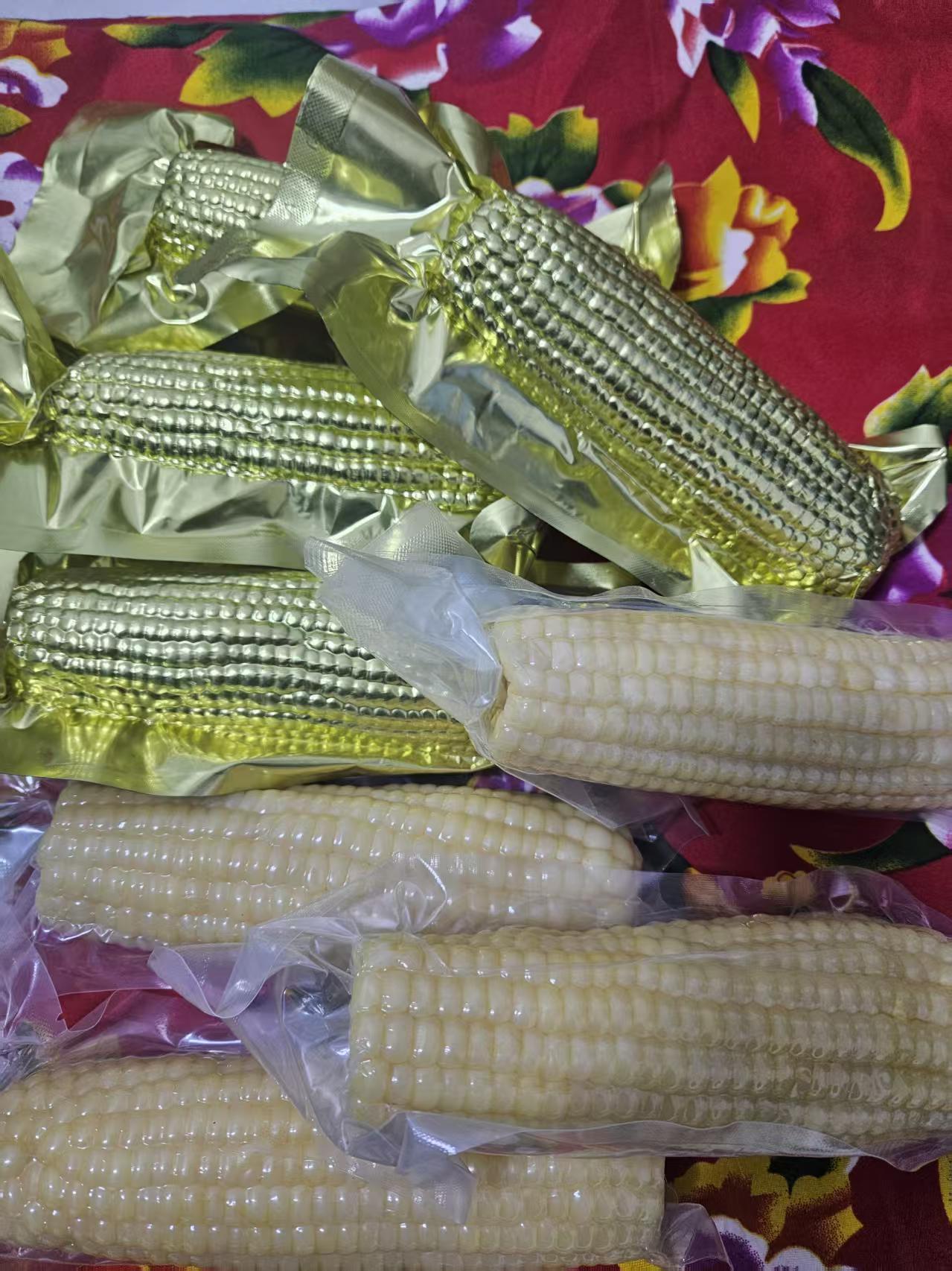 头茬东北黄糯玉米铝箔包装香甜软糯现摘新鲜