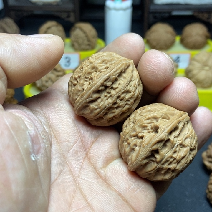 核桃铁锤妹妹004