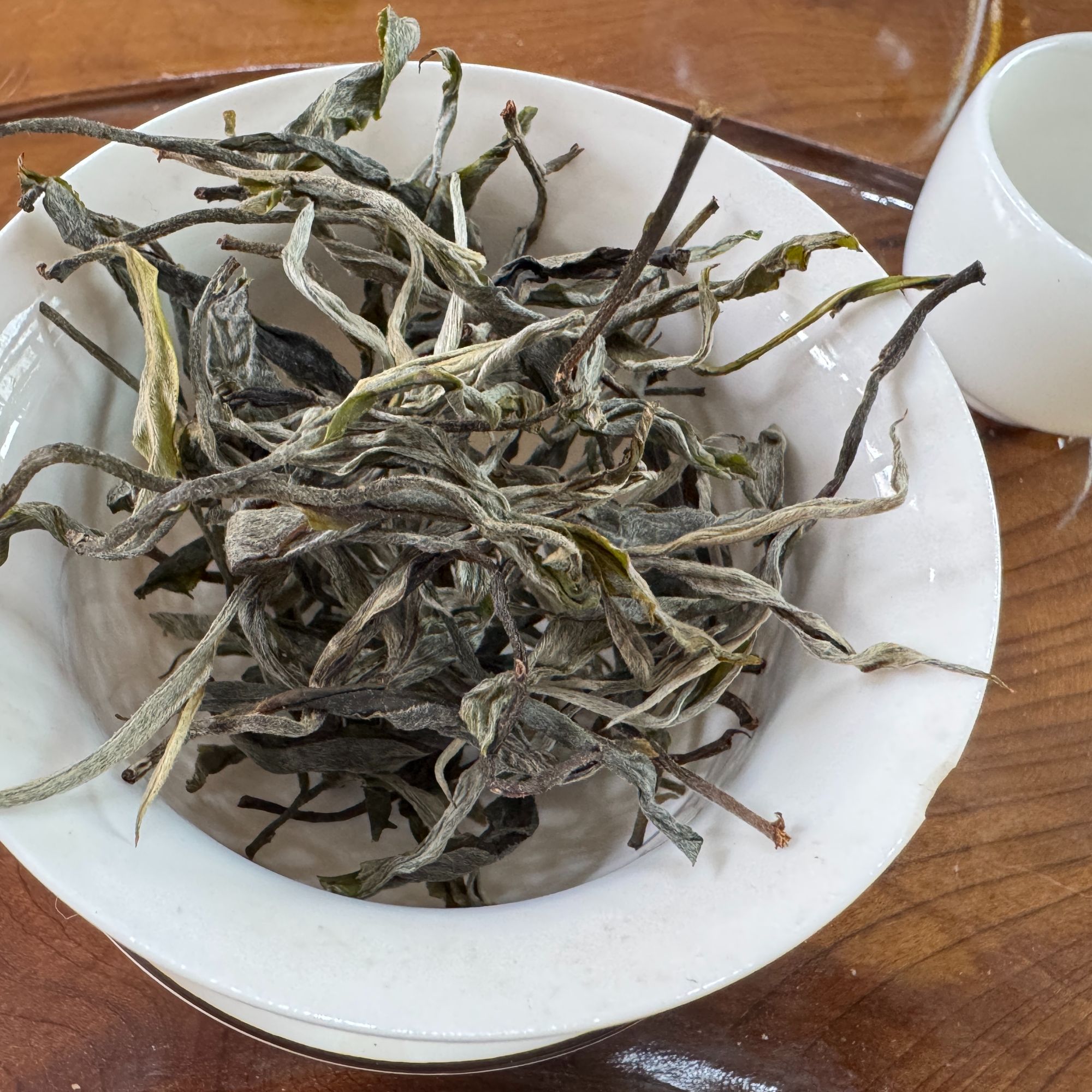 2025年大雪山傈所老寨单株普洱茶散料头春