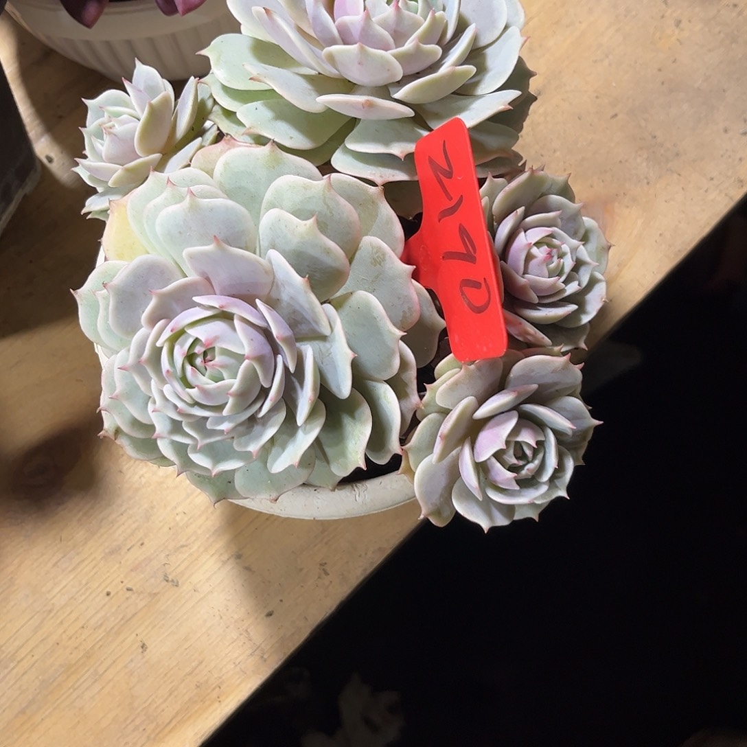 用***30000000000000002190