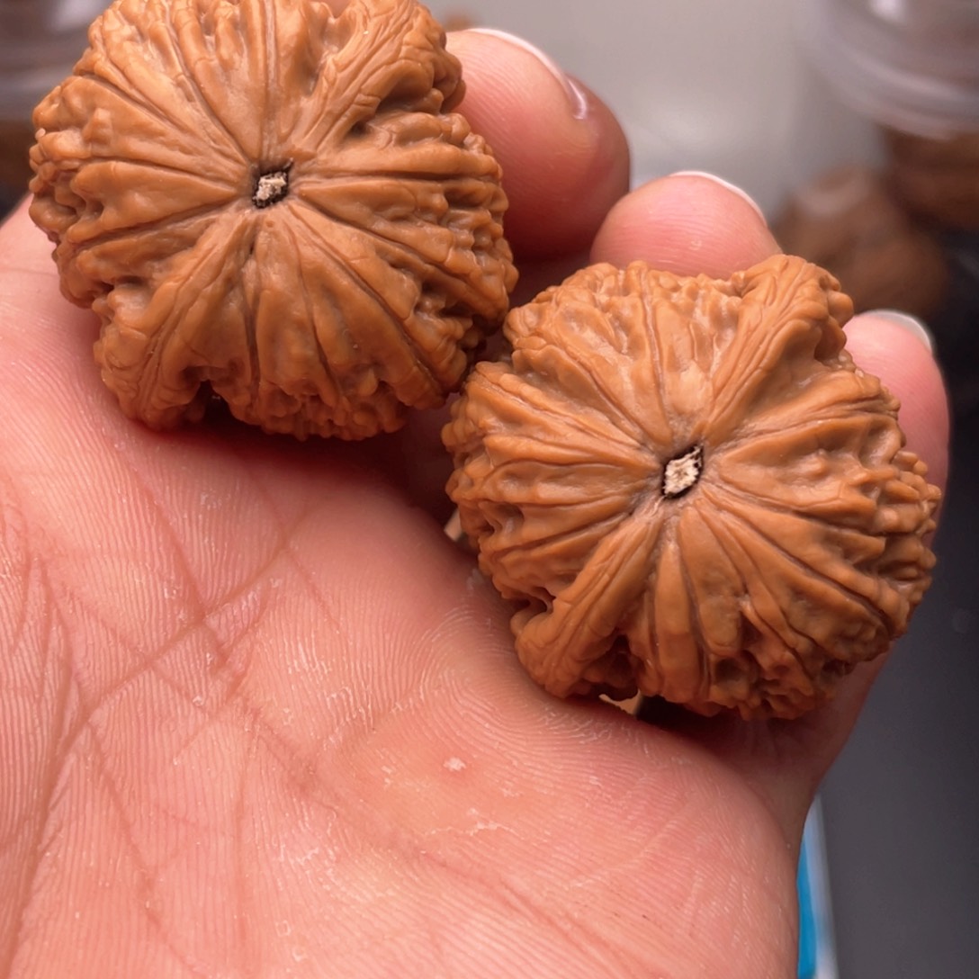 文玩核桃吊坠38蛟龙