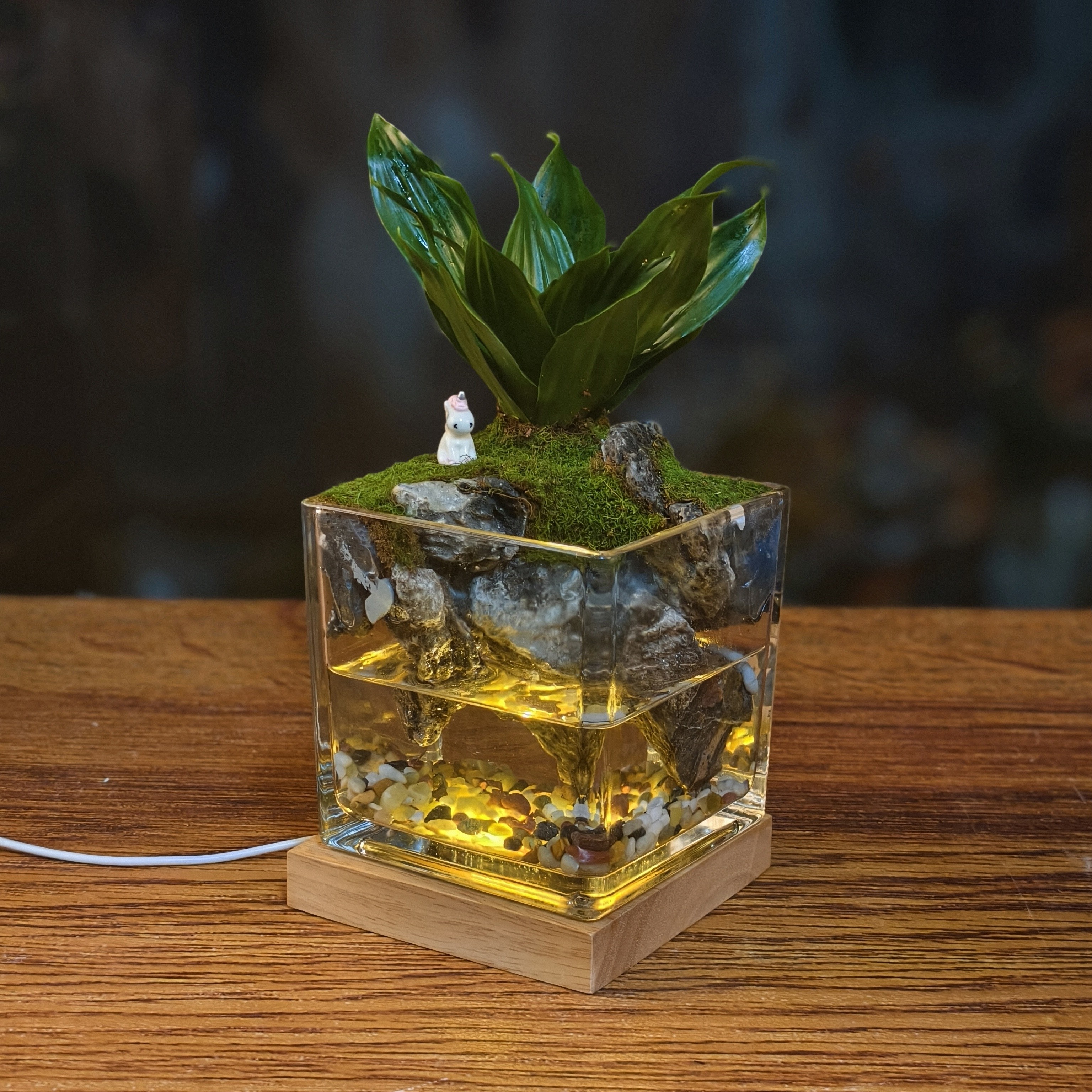 太阳神(12×12方)桌面微景观书桌茶台办公桌带底座灯光