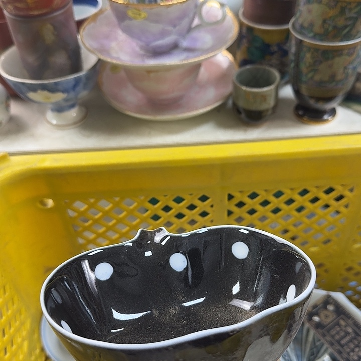 碟开播啦….开播啦