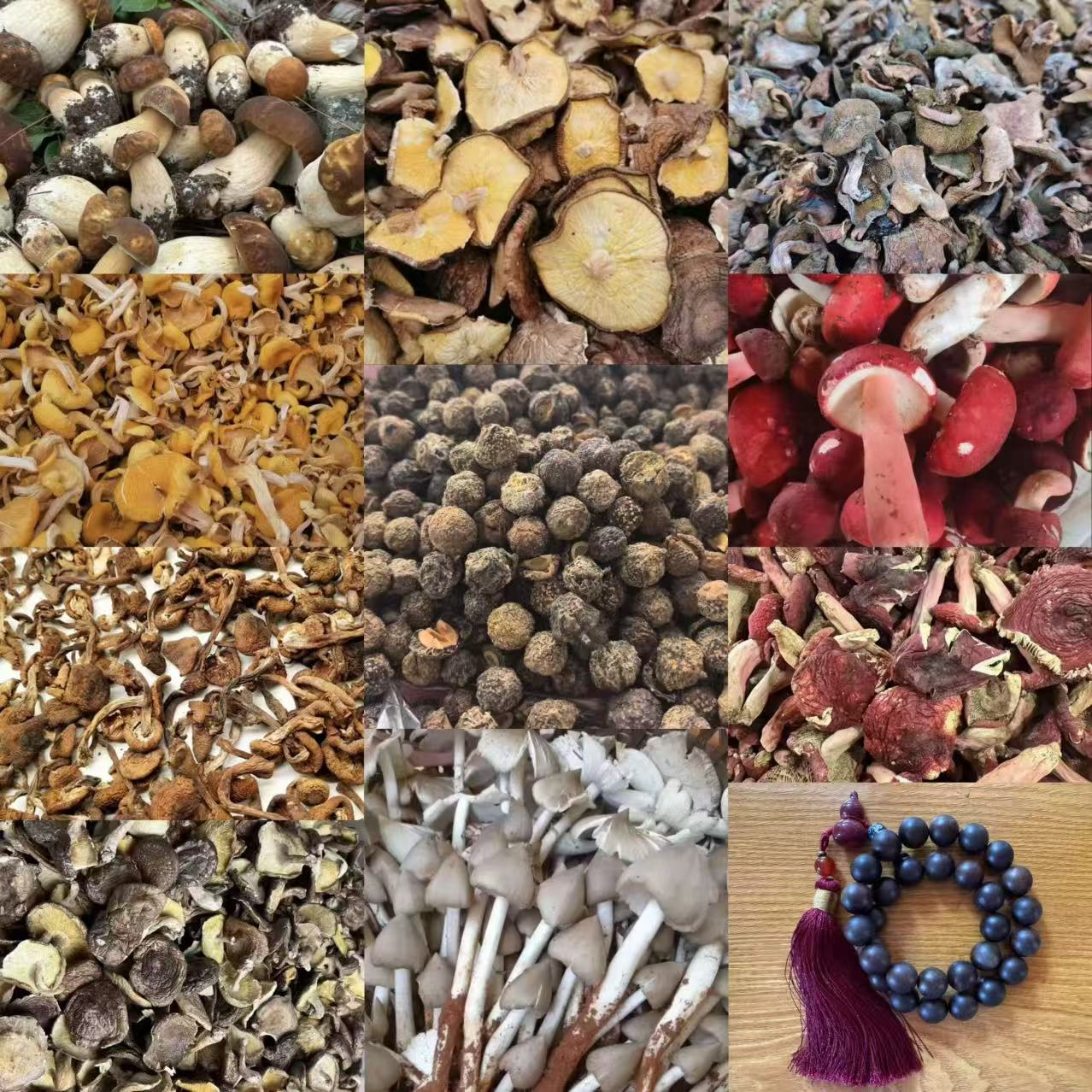 FSP712土特产菌/多样性发货