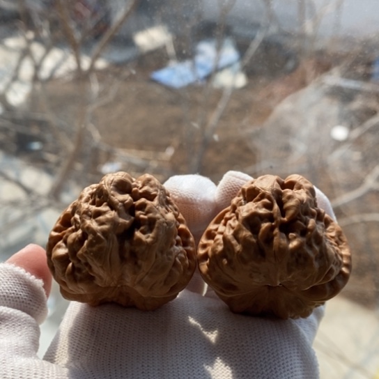 文玩核桃吊坠43开背大肚蛤蟆头