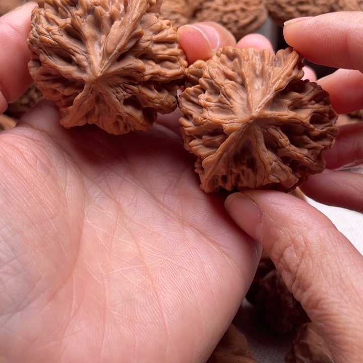 一***诺文玩核桃吊坠46全品龙鳞纹