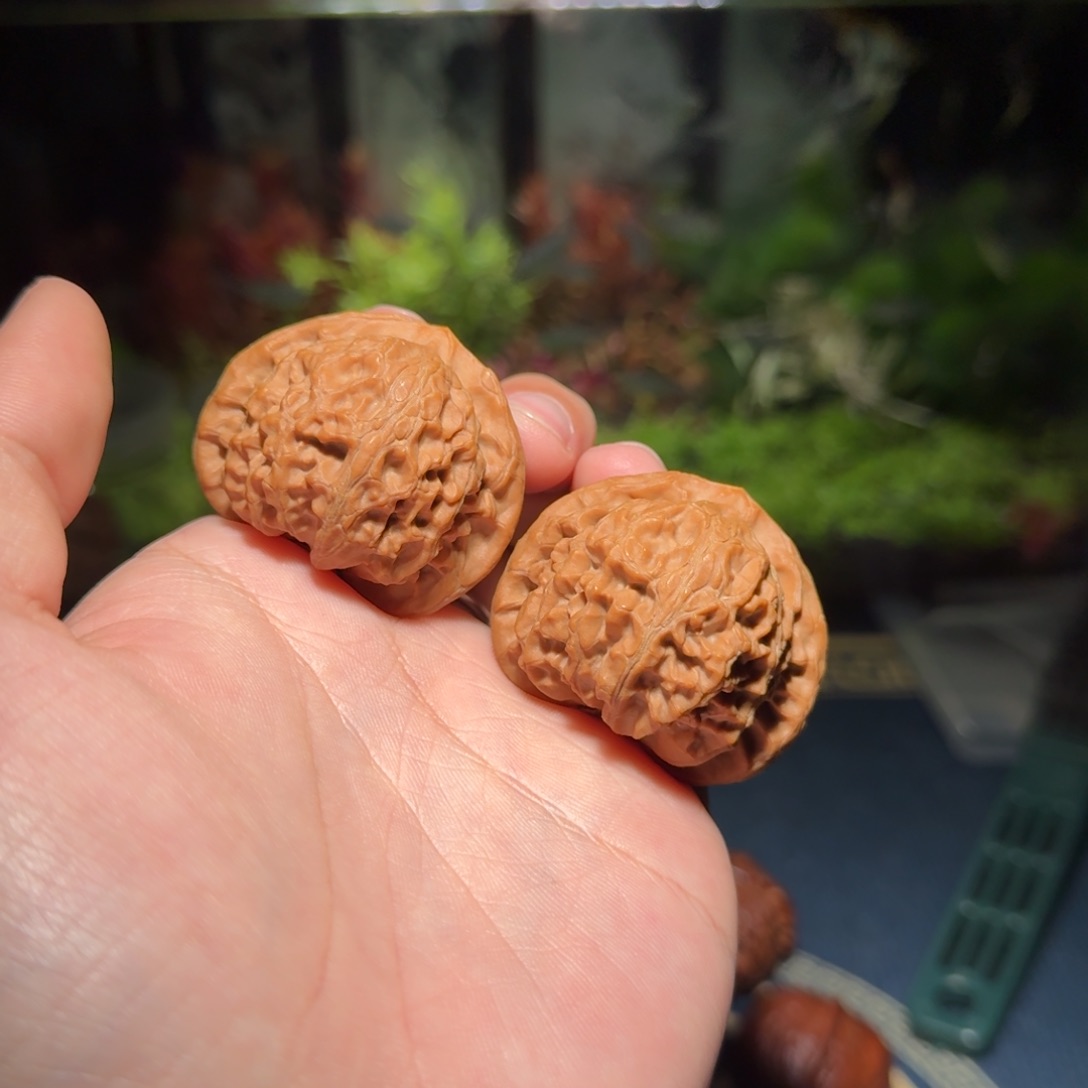 宫灯狮子头文玩核桃