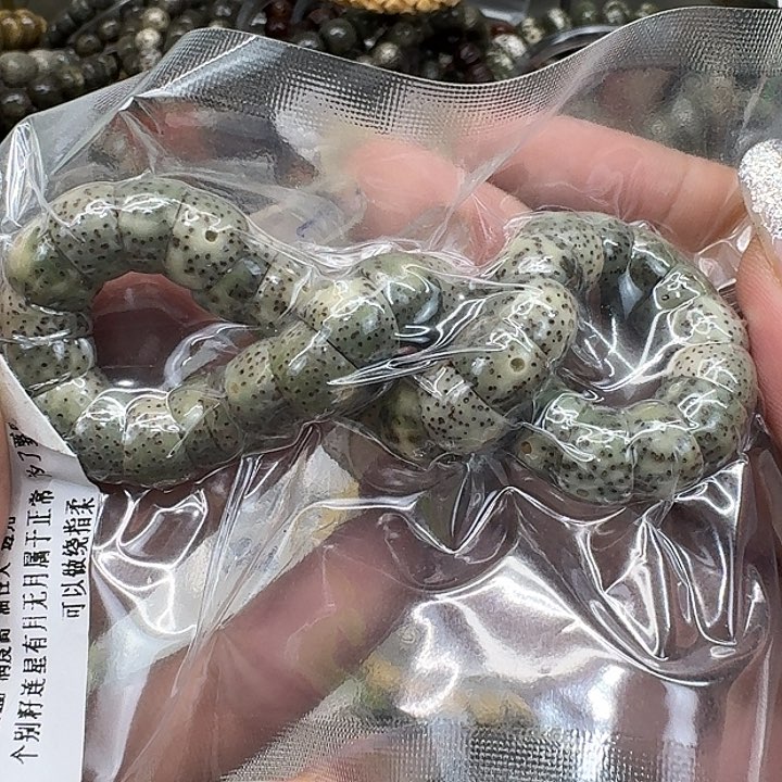 星月菩提手串19荣耀绿星月菩提猪大肠10单圈