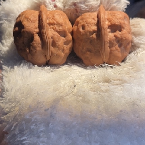 把件文玩核桃金蟾疙瘩包带彩40