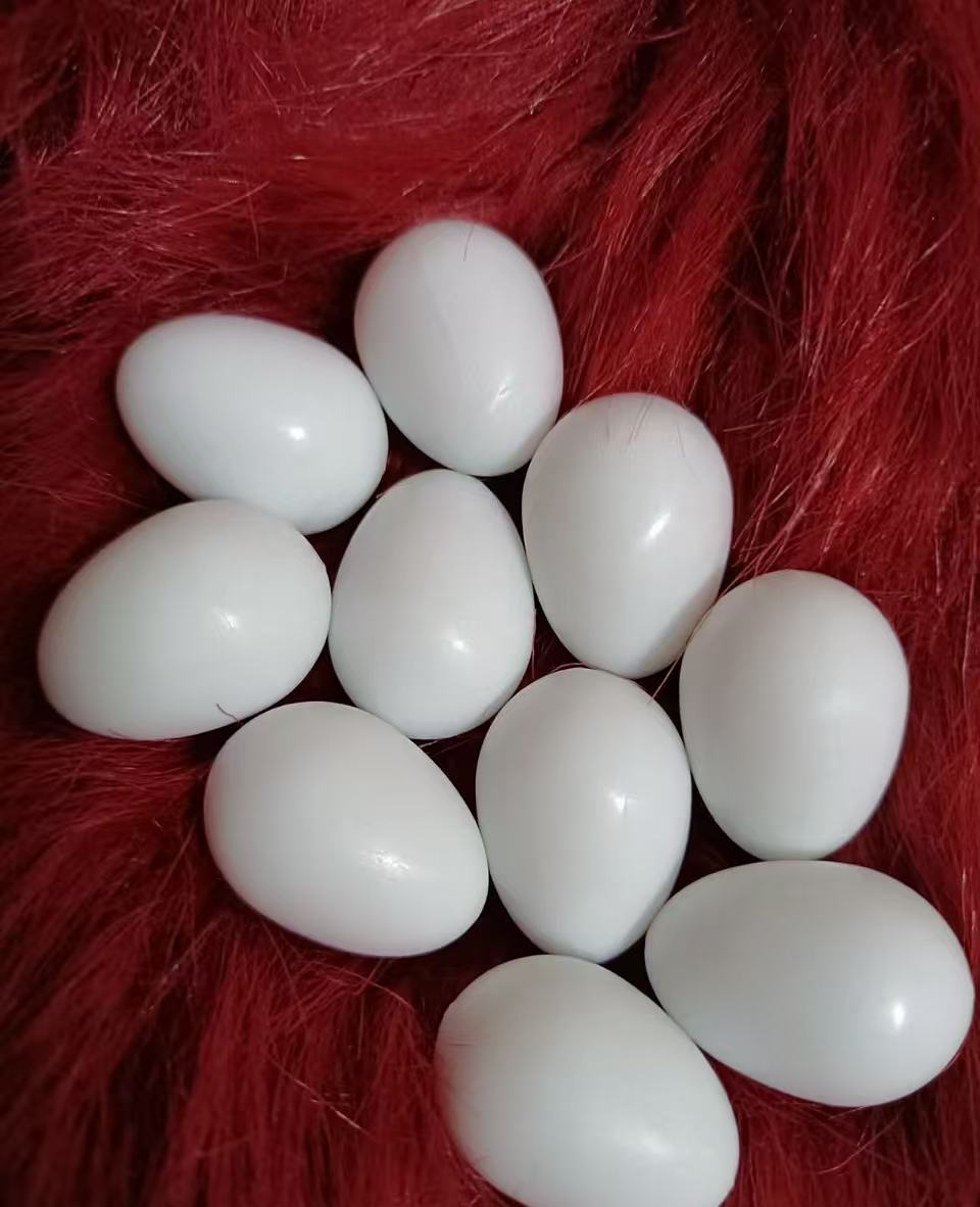 每日  现掏  新鲜  蛋  亚嘛逊