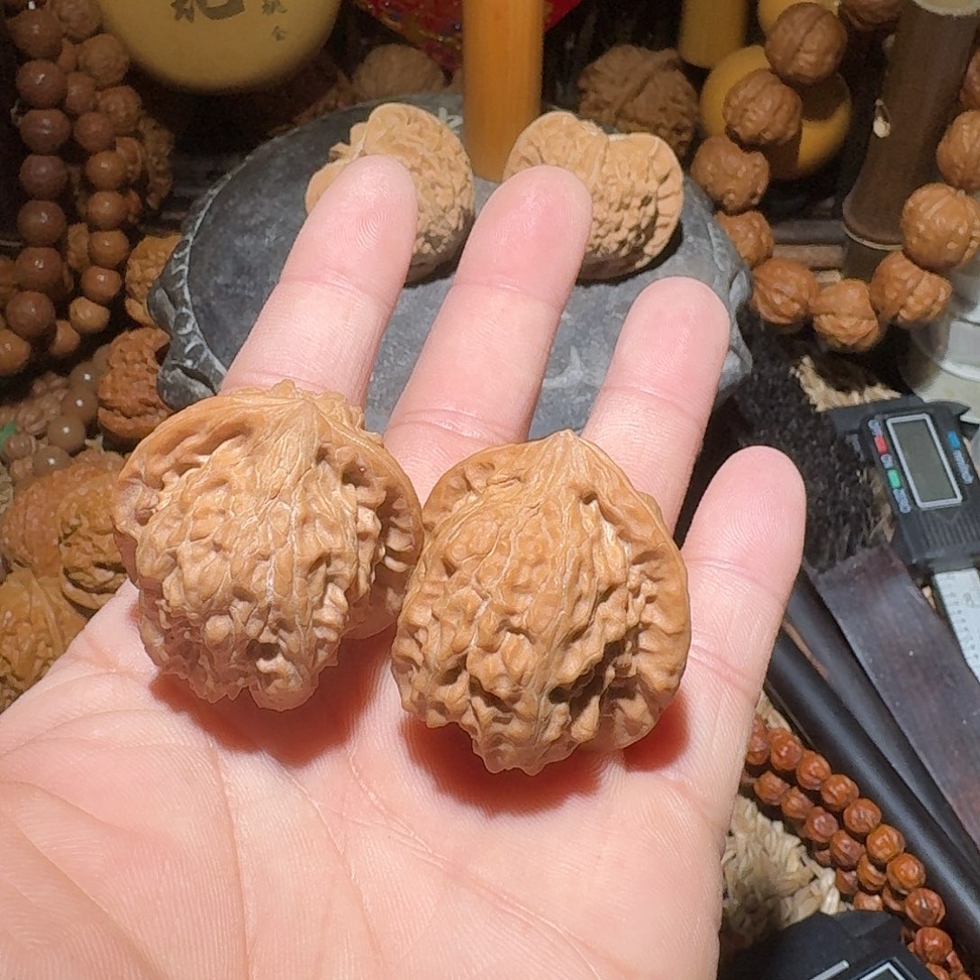 核桃龙门古树马蹄