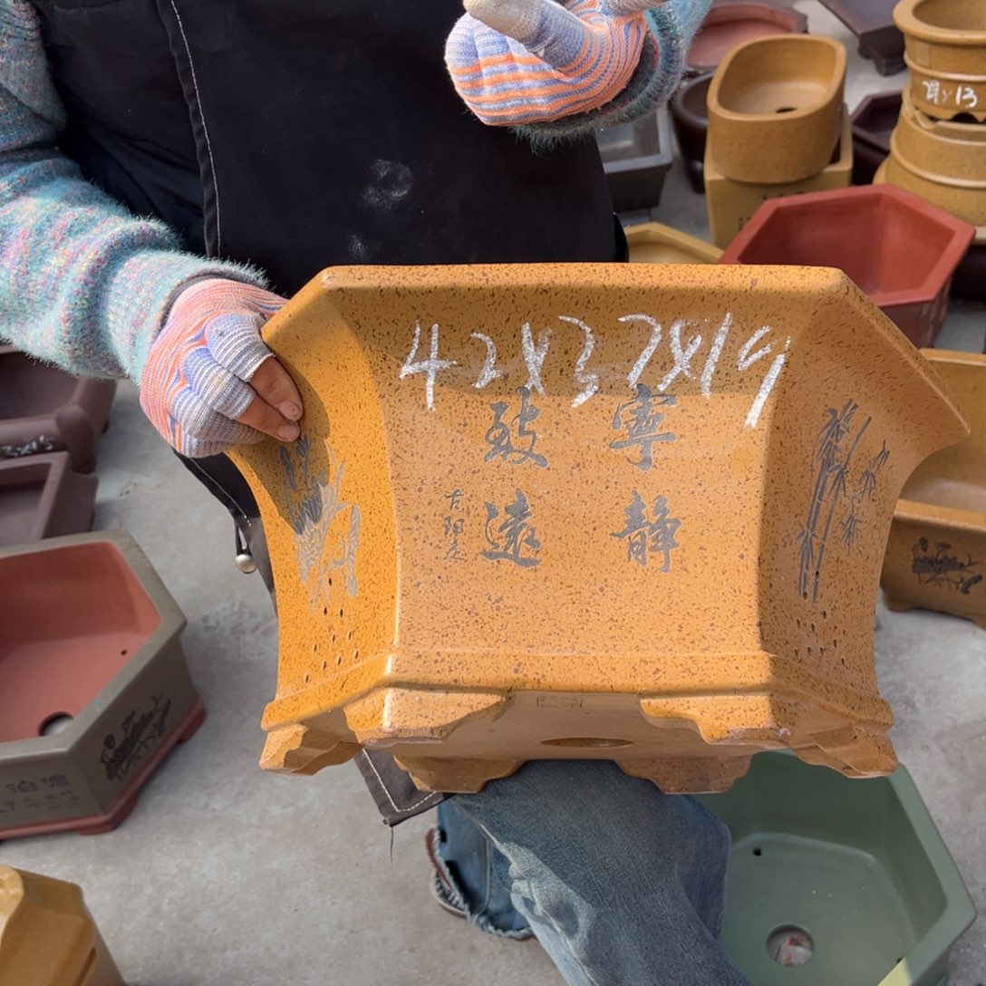 紫砂花盆盆景艺术