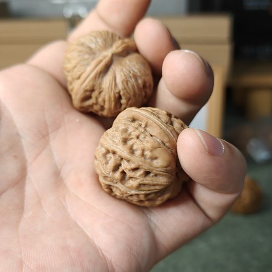 文玩核桃吊坠核桃