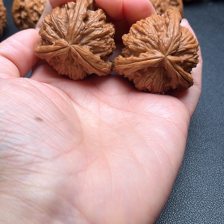 小***一核桃40尺白狮子拼接三棱