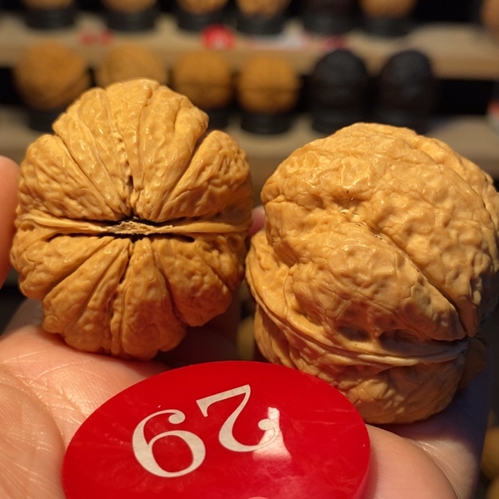 木质类视频同款，菊花金蟾43尺寸，货头对