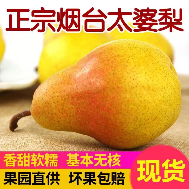 【香甜软糯】太婆梨烟台特产啤梨大头梨葫芦梨香甜多汁新鲜水果