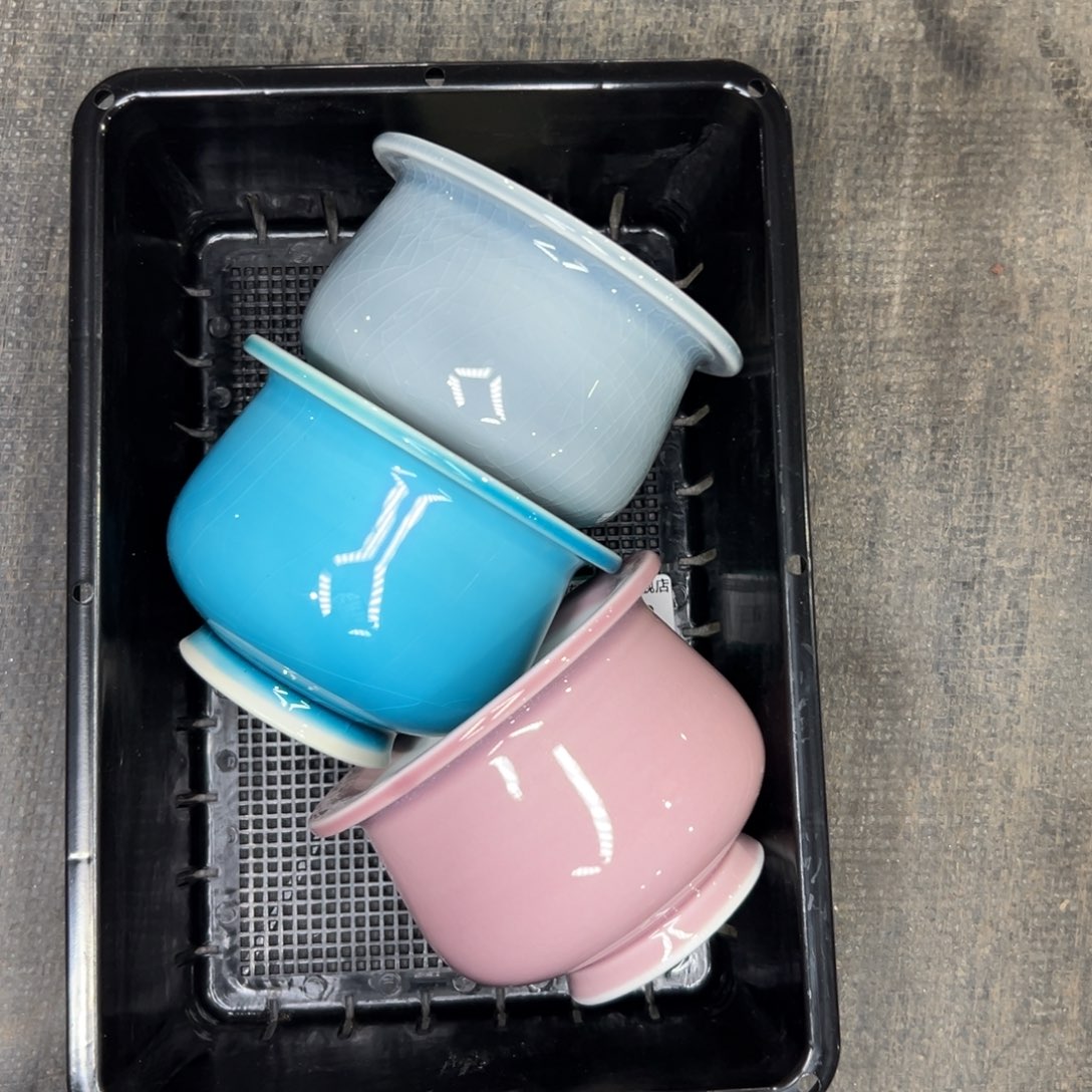 何*多肉精选编号0115.93