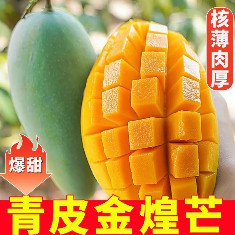 正宗广西百色青皮金煌芒新鲜应季水果核薄肉厚香甜