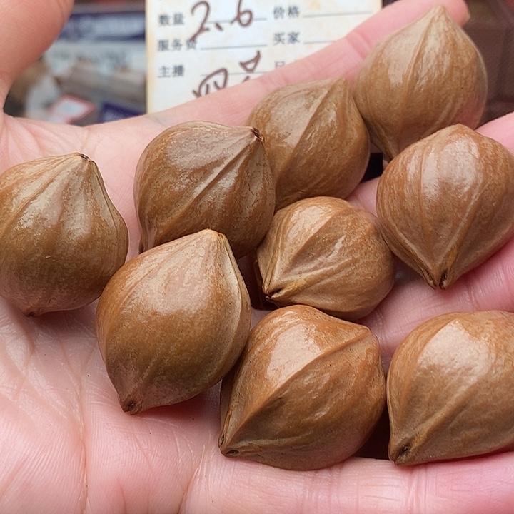 手串/手链橄榄核凡**满