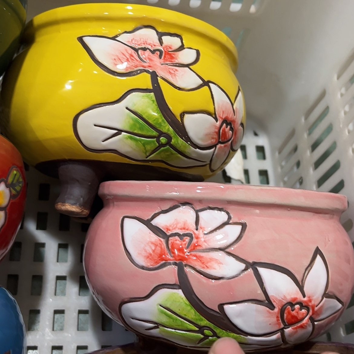 【闪购商品】红陶福利