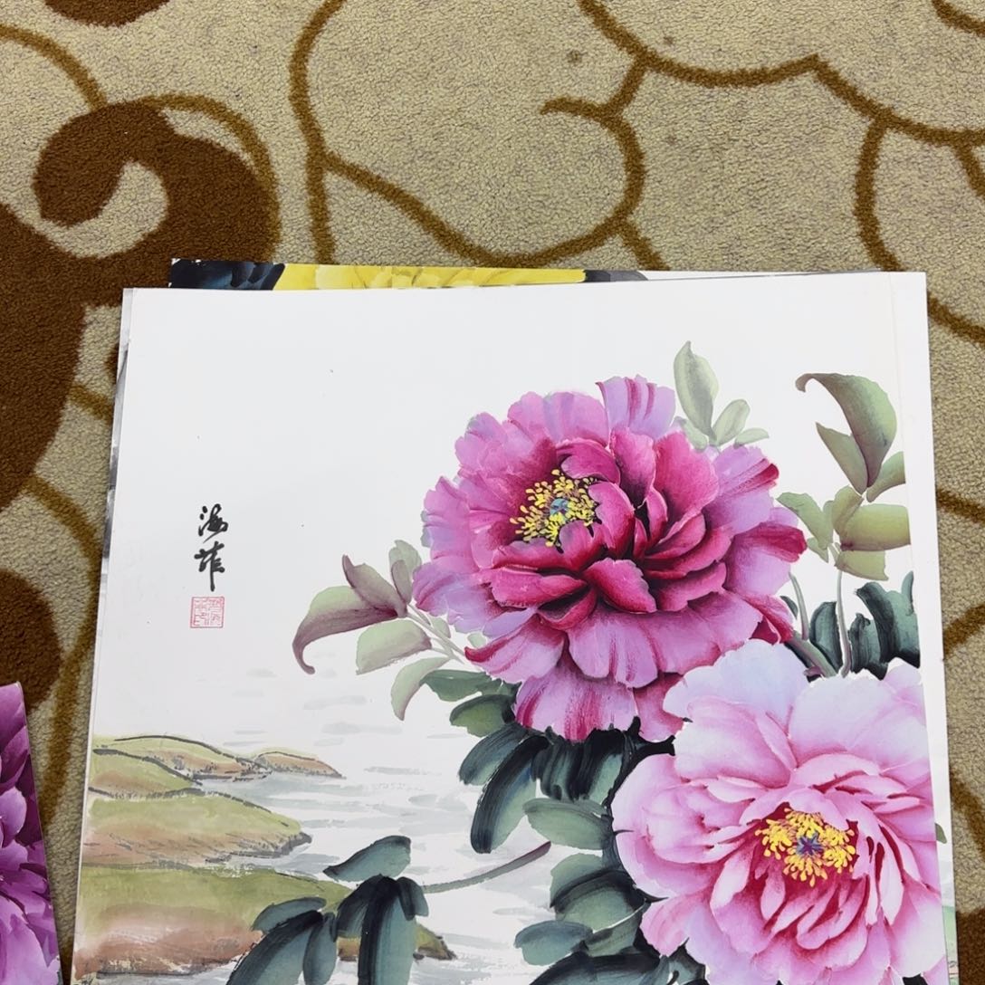 国画李李李希李欣主播