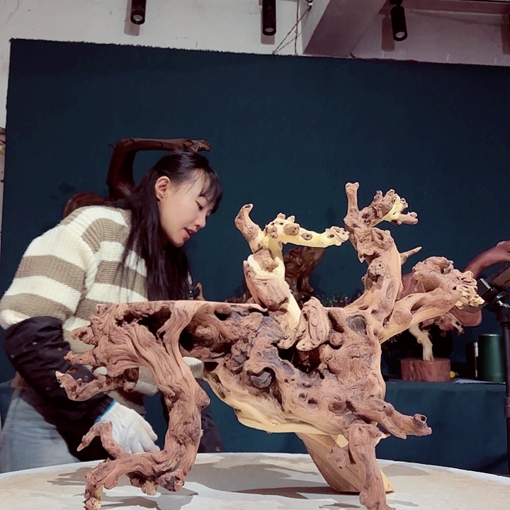 黑果木六*074金丝红木羊蹄甲半成品