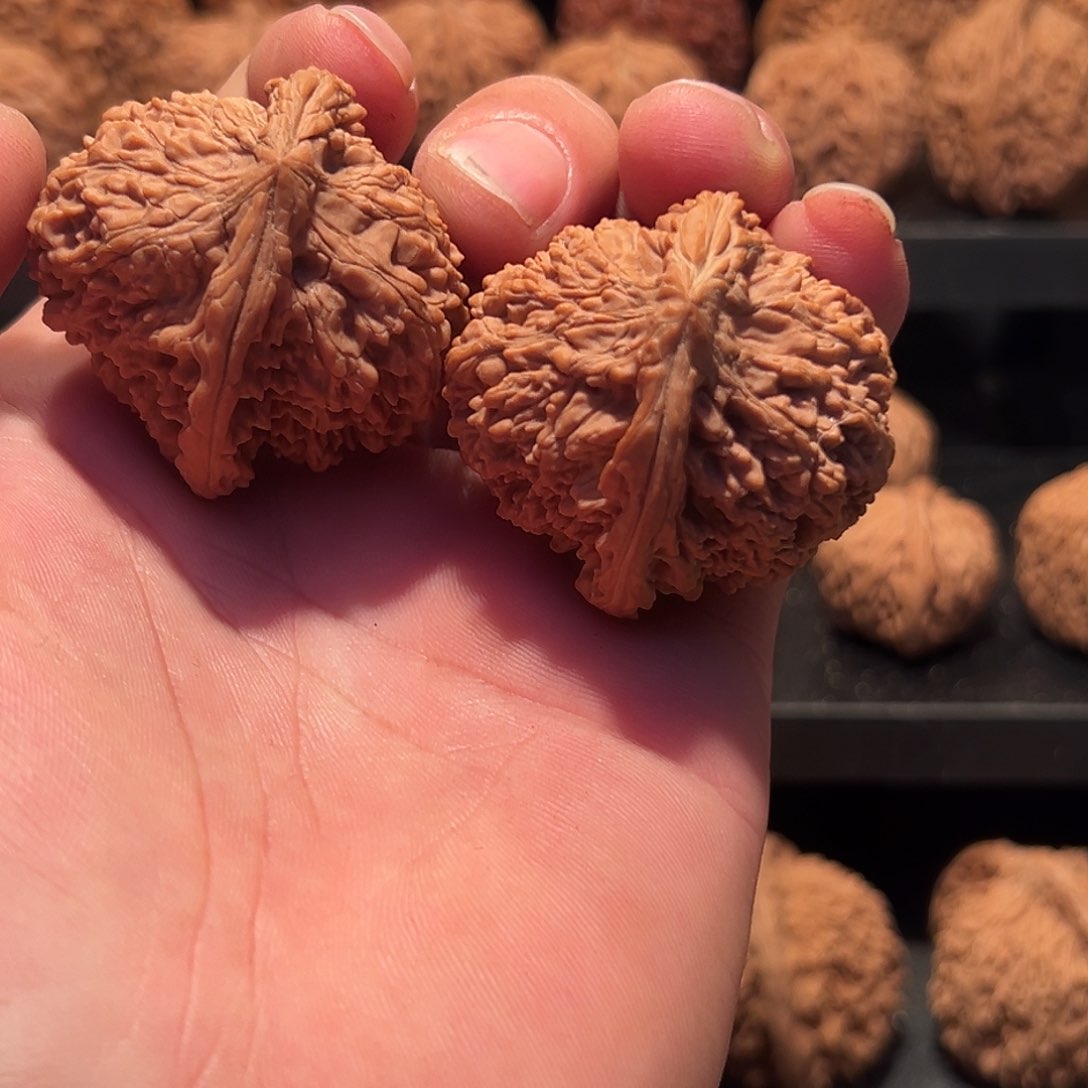 文玩核桃把件满天星核桃41