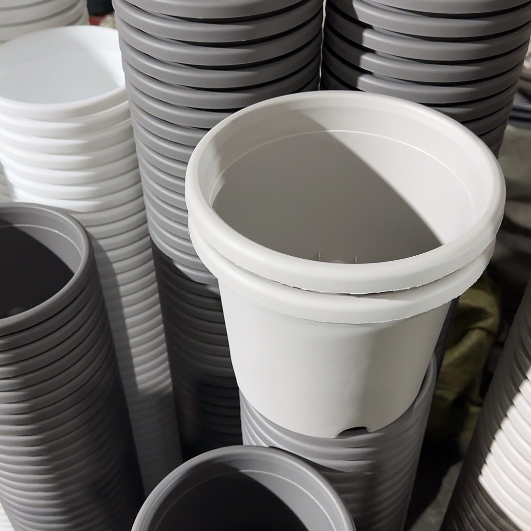 树脂四季3号无托10个灰白微瑕