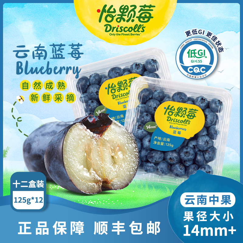 怡颗莓-云南宝宝蓝莓l25蓝莓新鲜酸甜14mm+125g*12盒