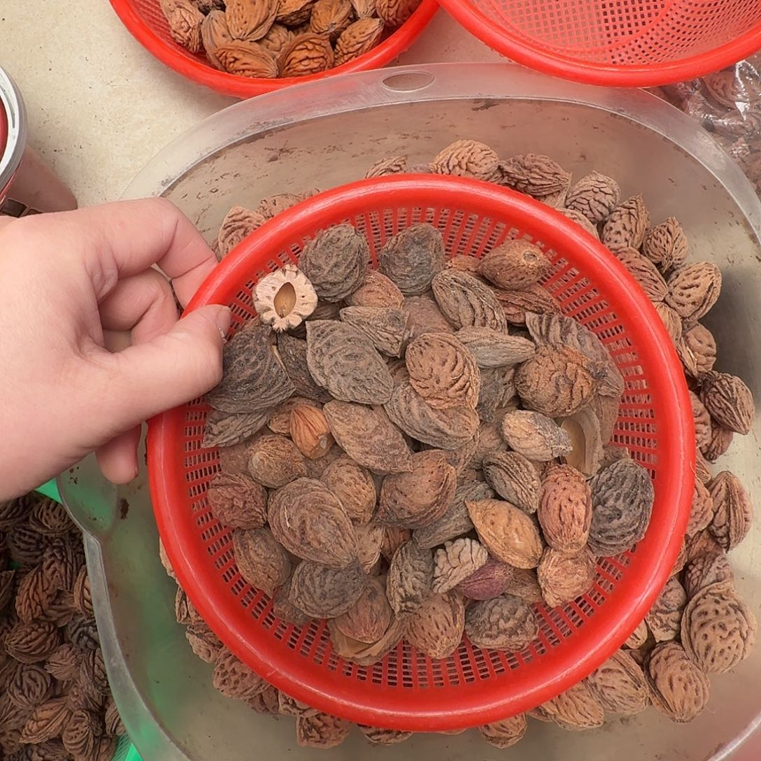 永连蜜半斤寒露蜜各半斤