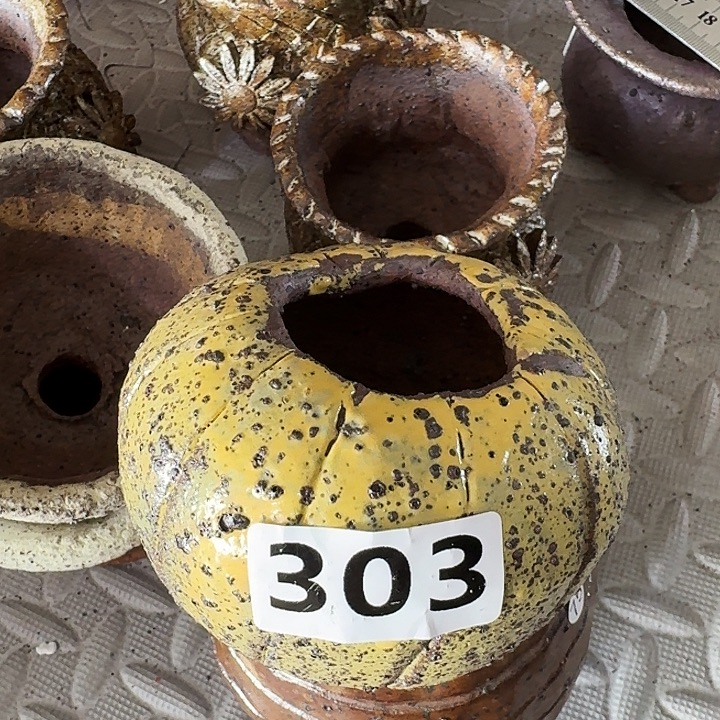 小***菇粗陶手工制作多肉花盆