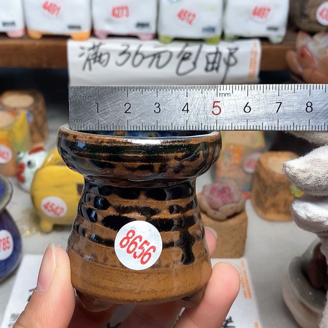 红陶拍5送一个小