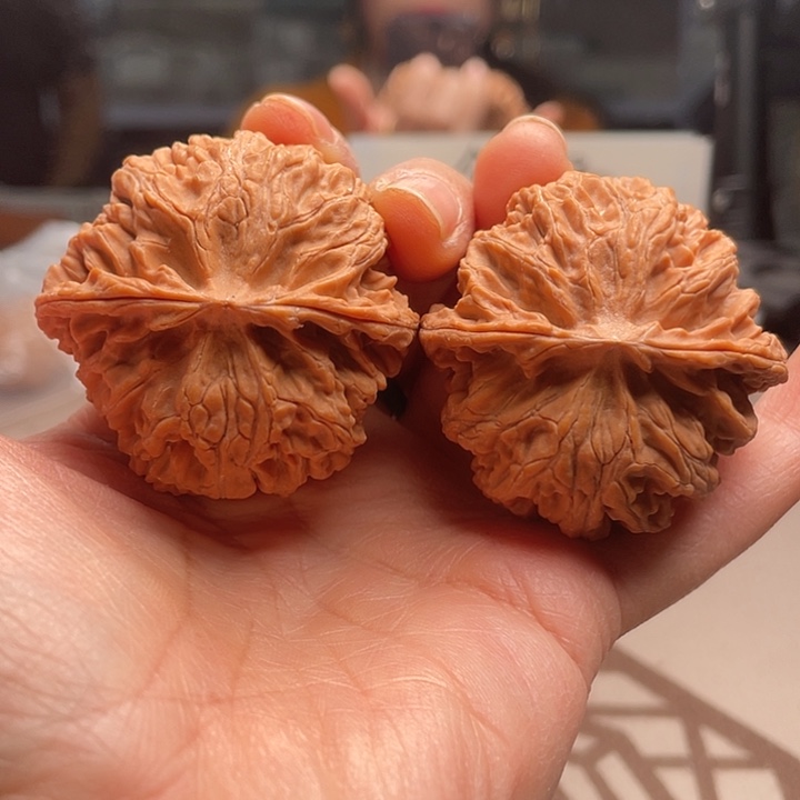 手串文玩核桃平果园88万平房子出租出去