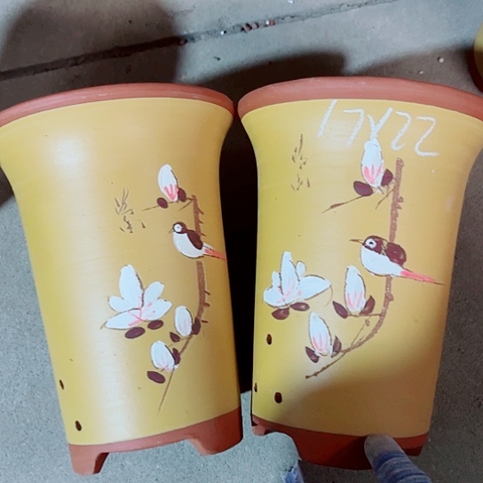 红陶紫砂紫砂 z x