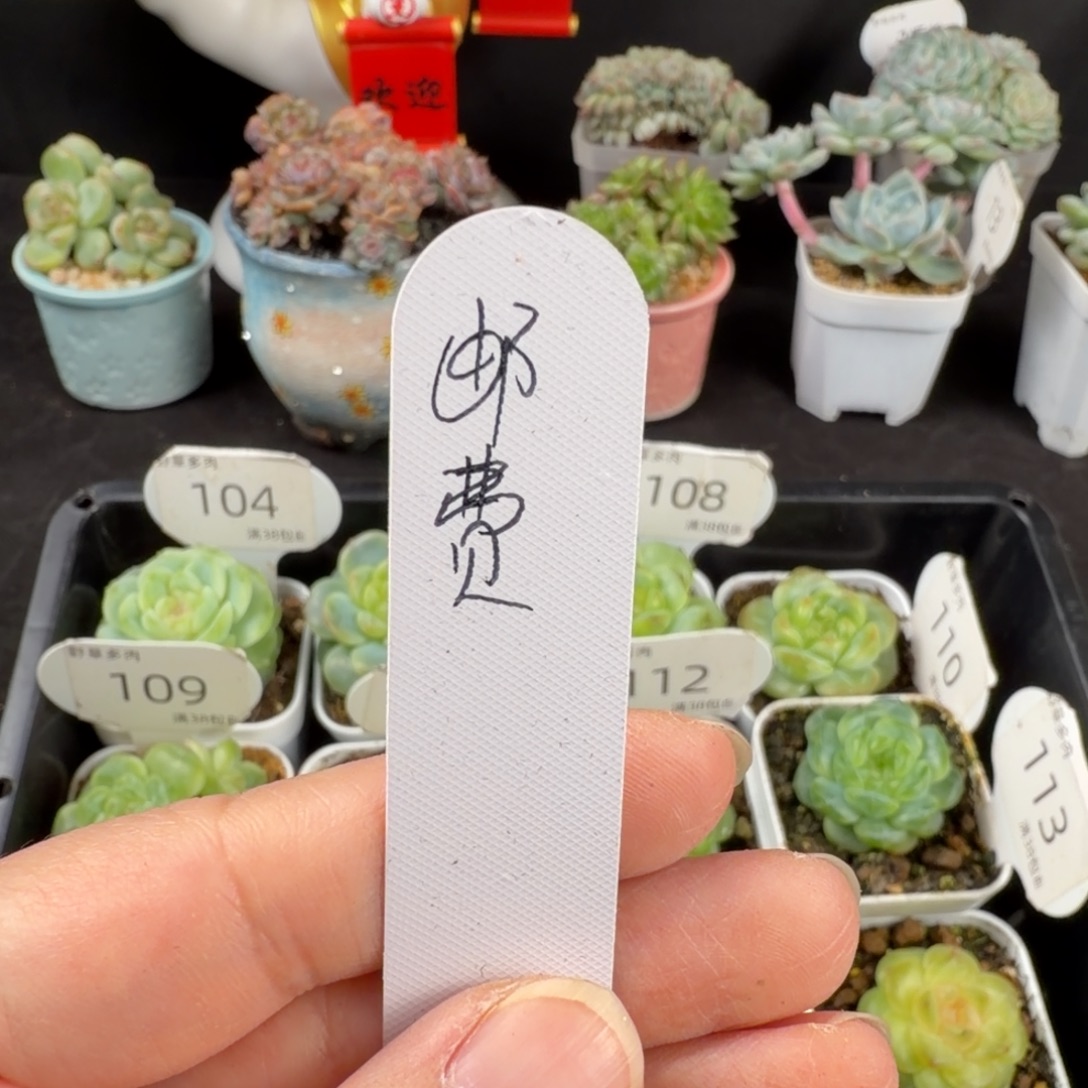 补邮费未满38米发货