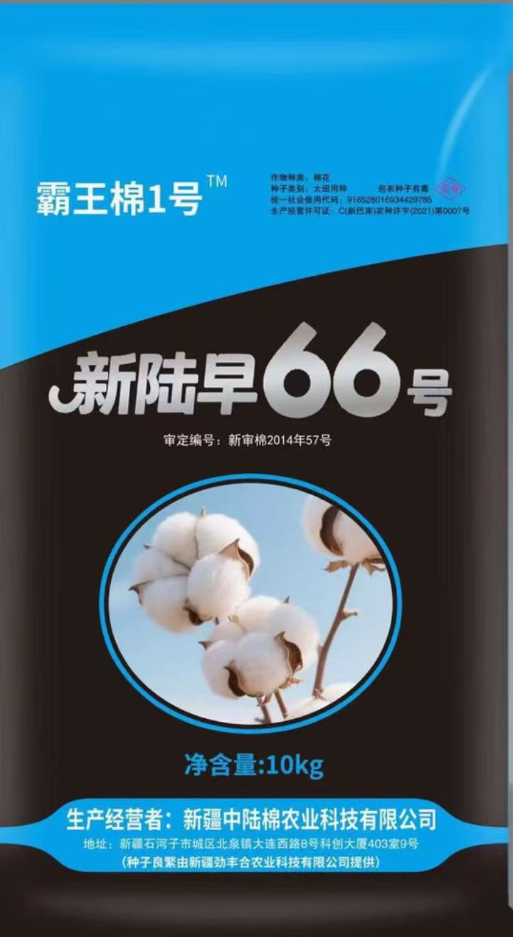 霸王棉1号 高衣份 高品质
