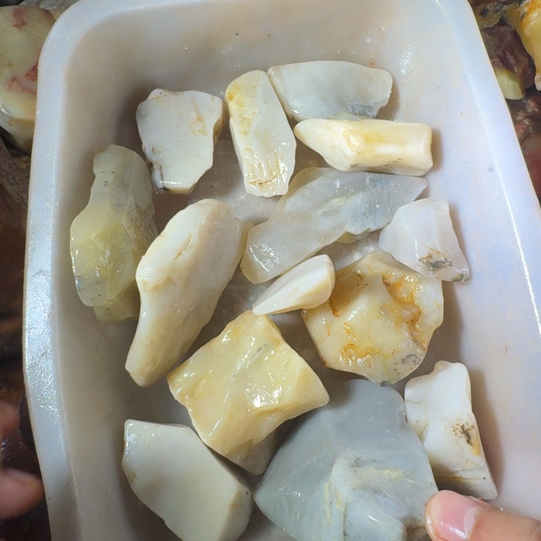 东***学寿山石889988998899889