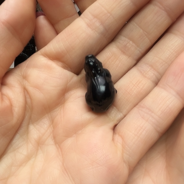 和田玉（墨玉）未镶嵌颈饰貔貅