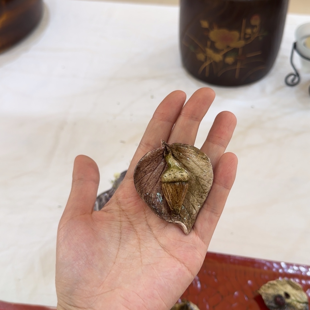 杯亮亮亮亮亮亮亮亮了