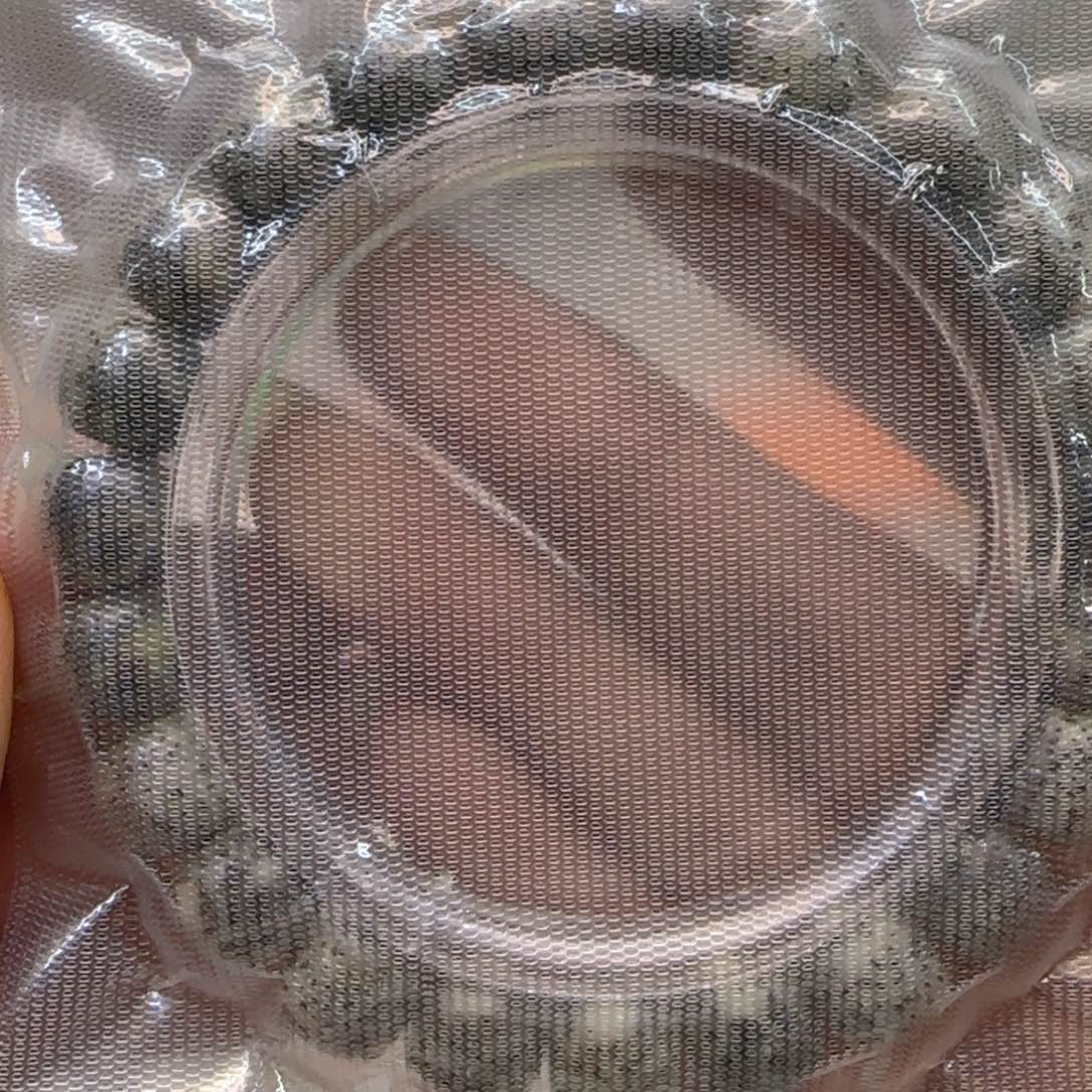 星月菩提手串53高端黑冰星月菩提1.0桶单圈